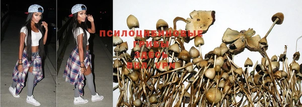 мет Нефтегорск